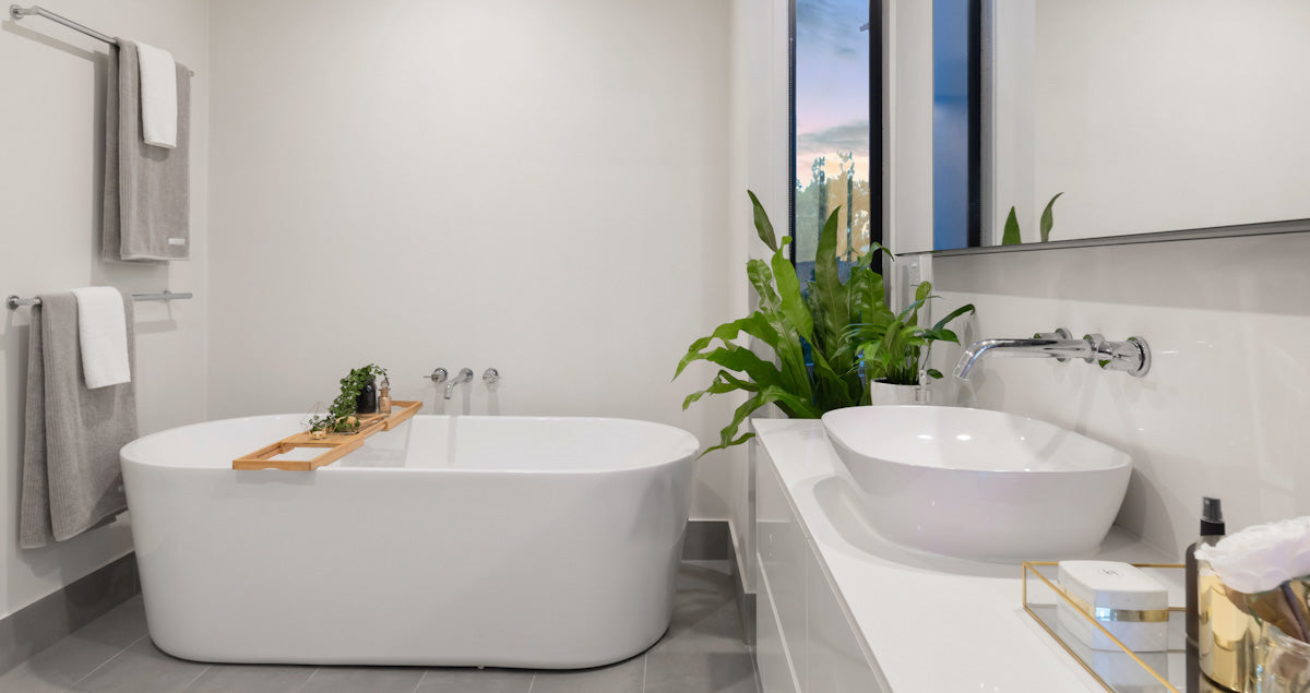 Plants to Brighten Up Your Bathroom