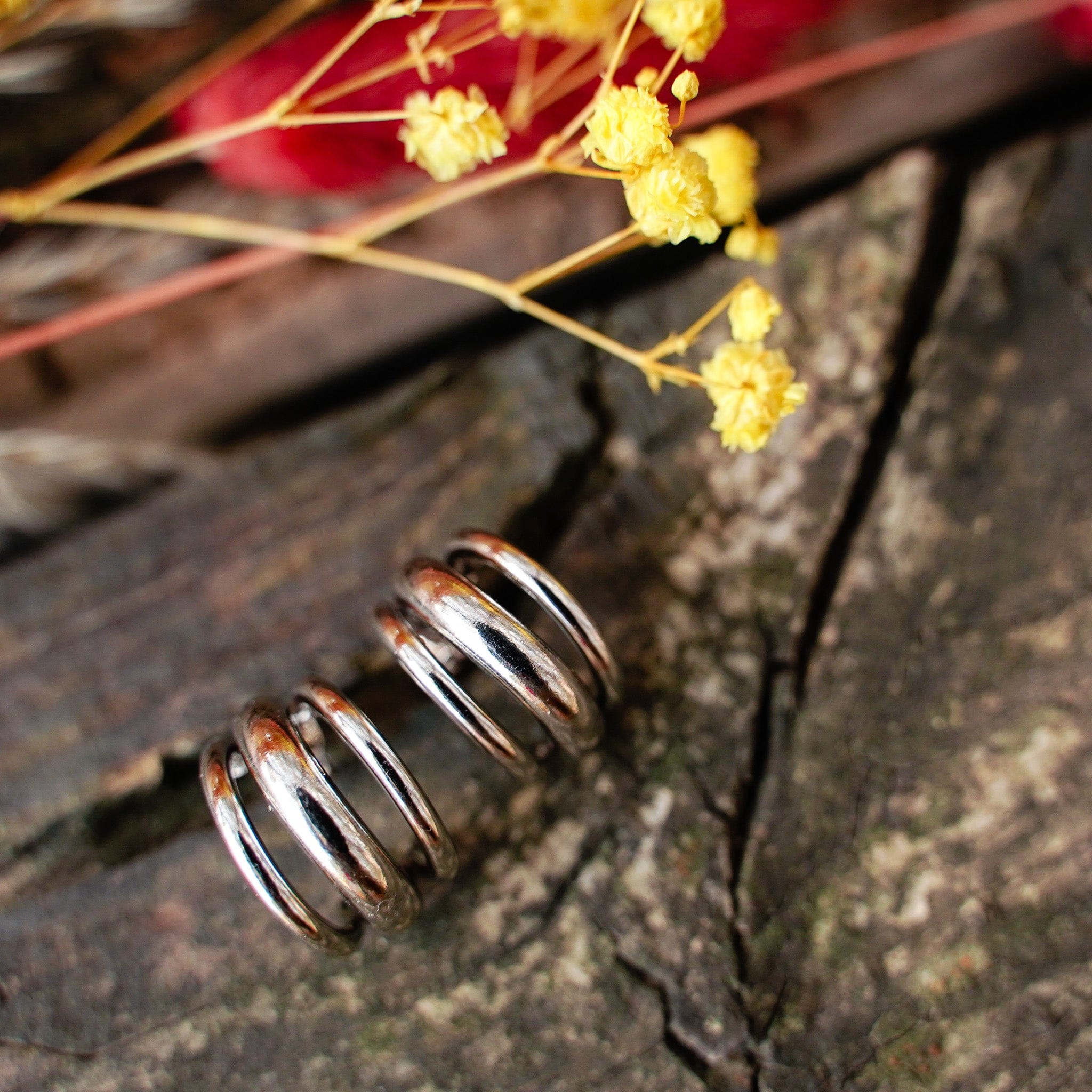 Earrings Core Circles Earrings