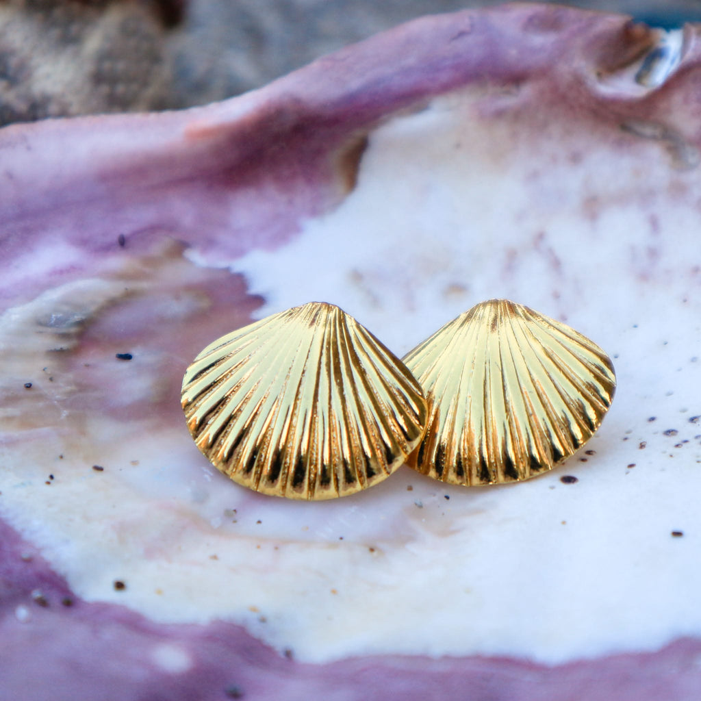 Earrings Crust Earrings