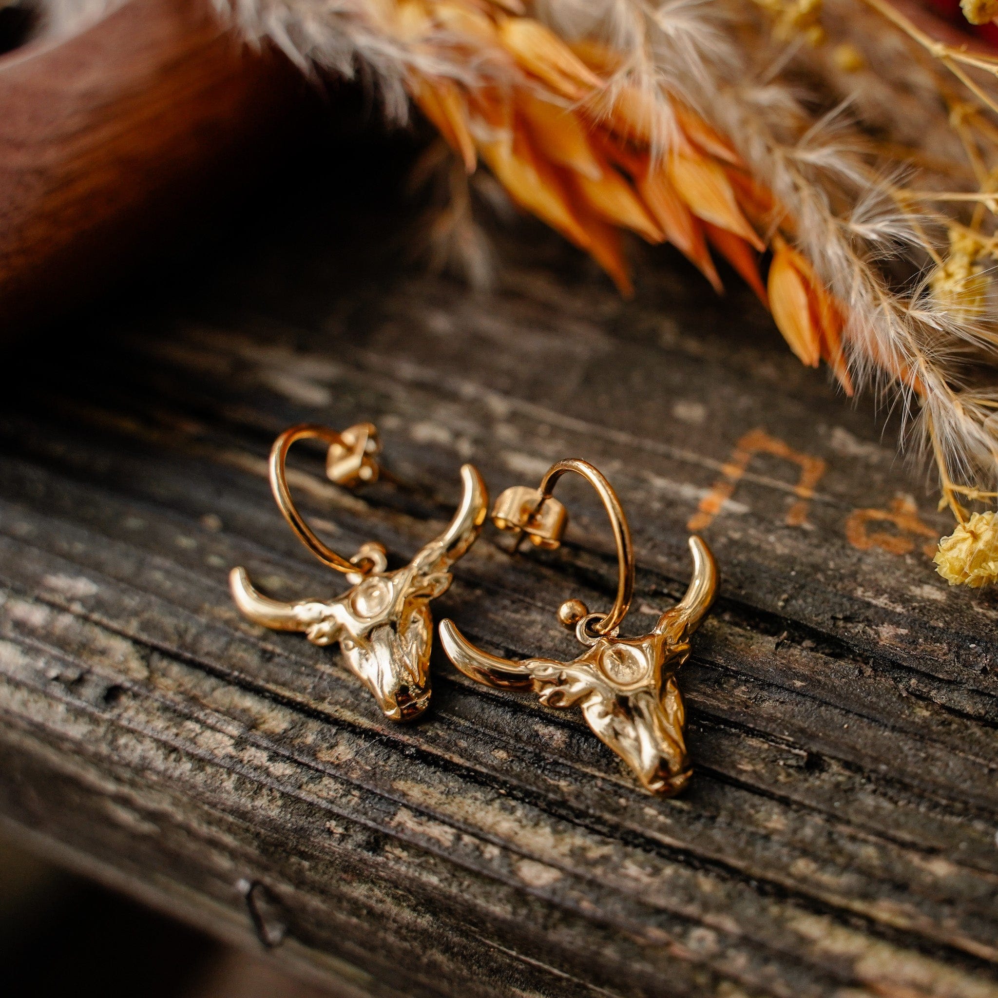 Earrings Dune Warrior Earrings