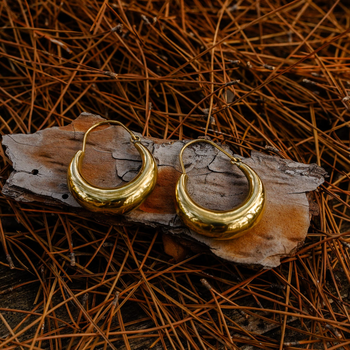 Earrings Easy Does It Earrings