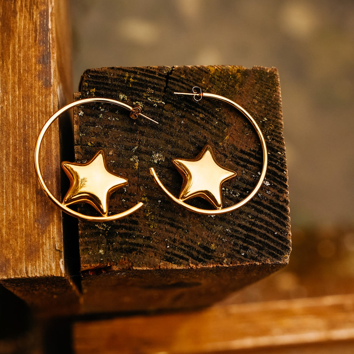 Earrings Magic Hoops Earrings