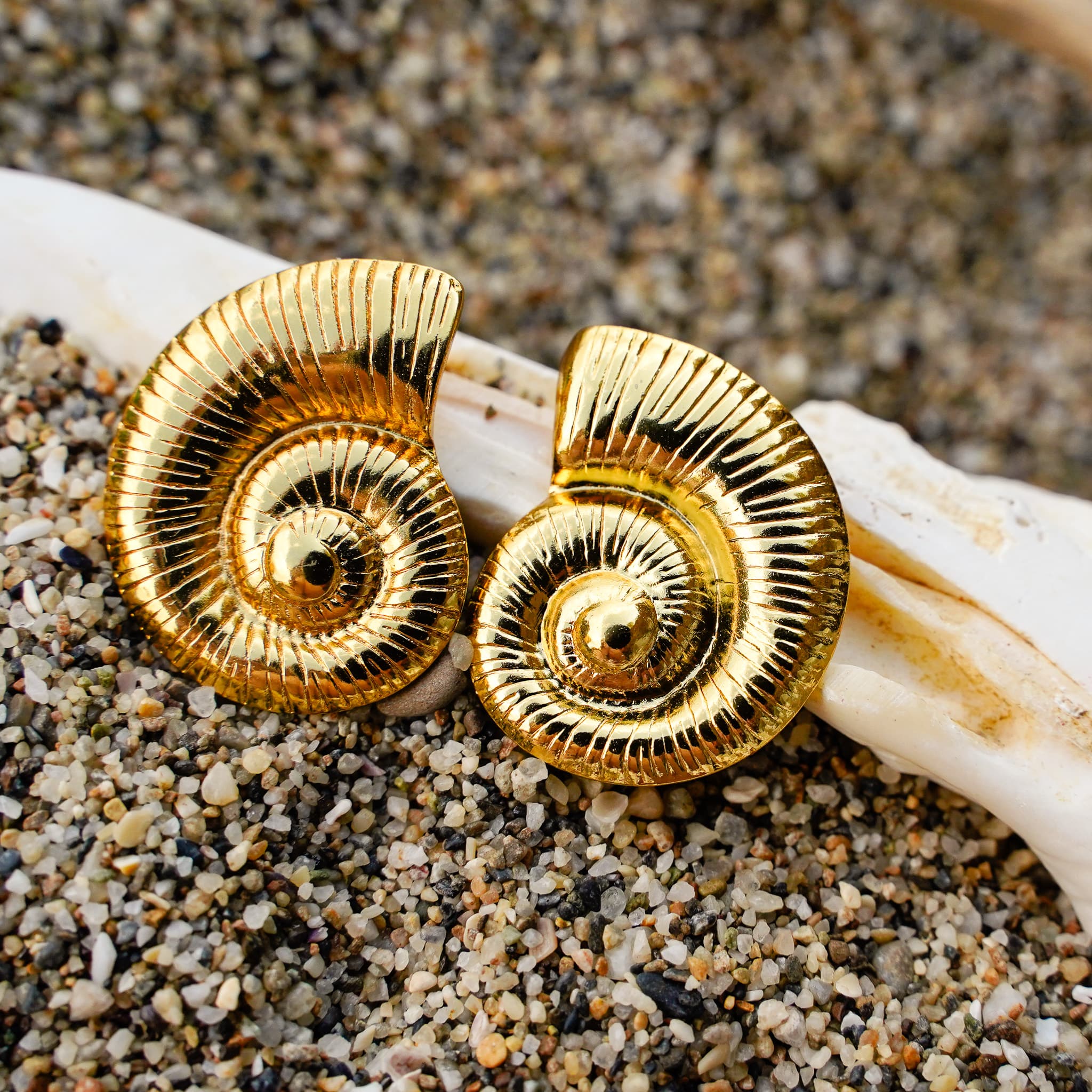Earrings Nautilus Earrings