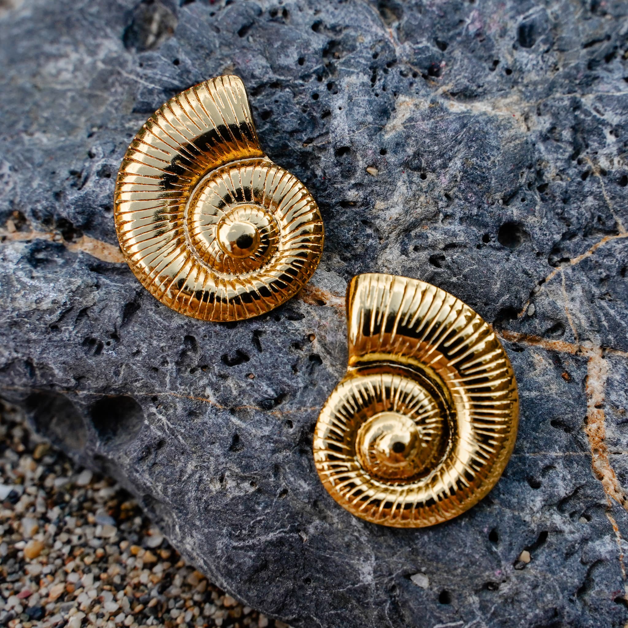 Earrings Nautilus Earrings