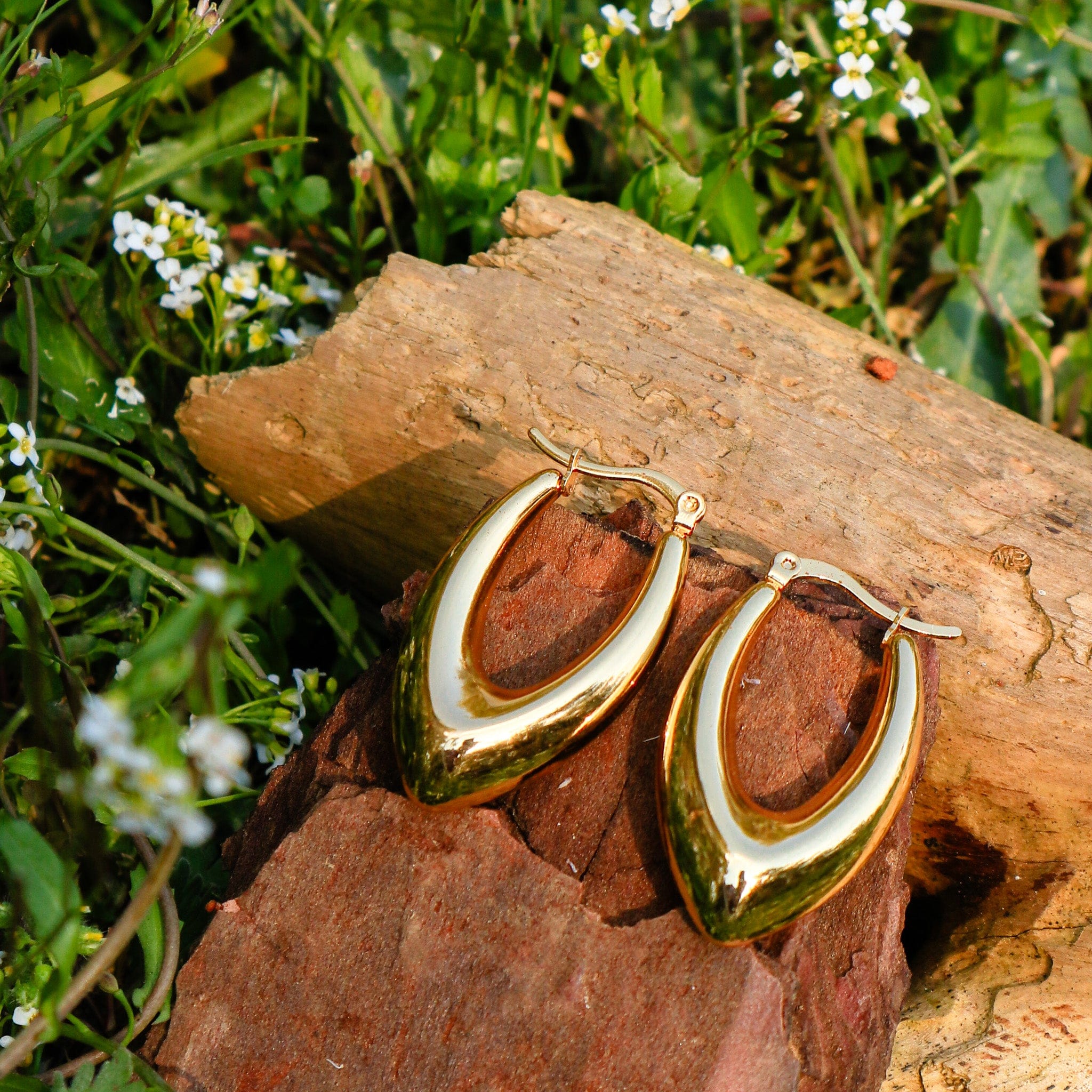 Earrings Sole Earrings