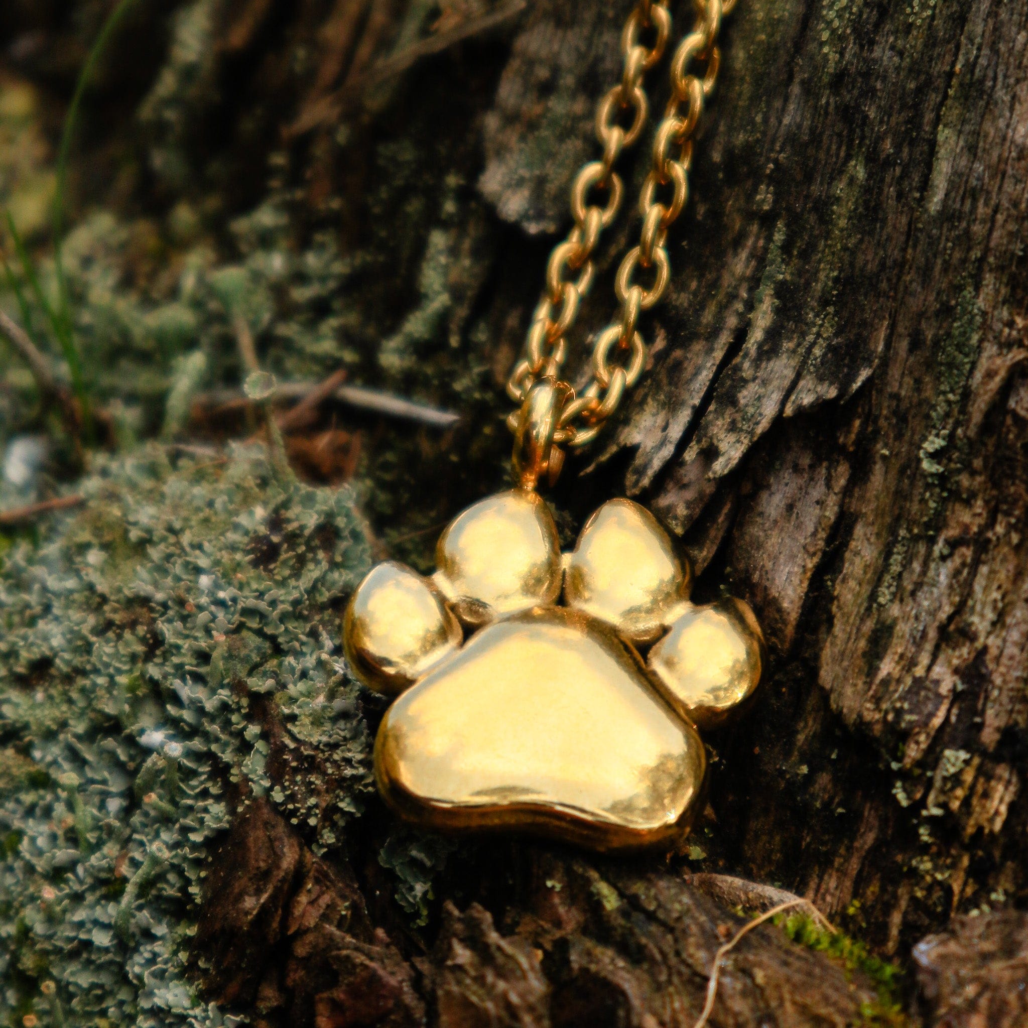 Engraved Engravable Gold Paw Necklace