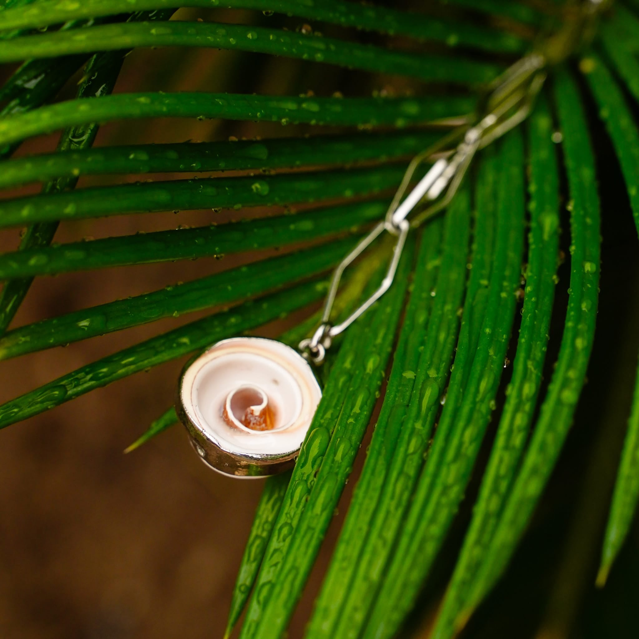 Necklaces Fossil Necklace