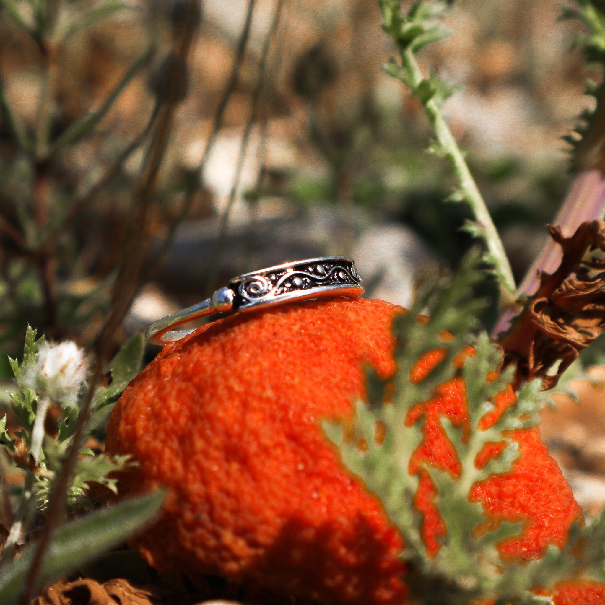 Rings Arka Ring