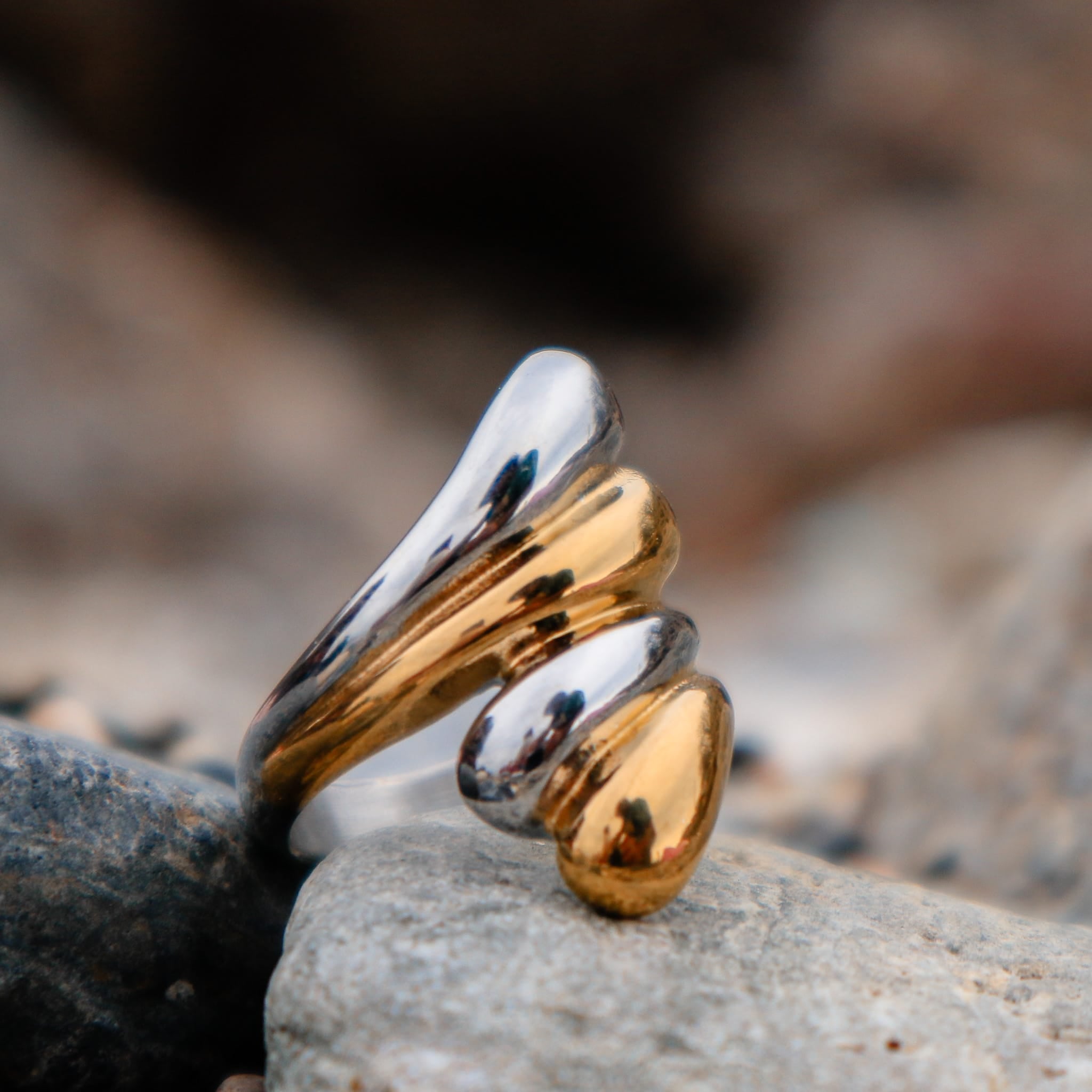 Rings Bicolor Ring