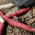 Rings Bloomie Toe Ring