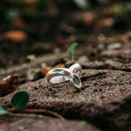 Rings Frozen Light Ring