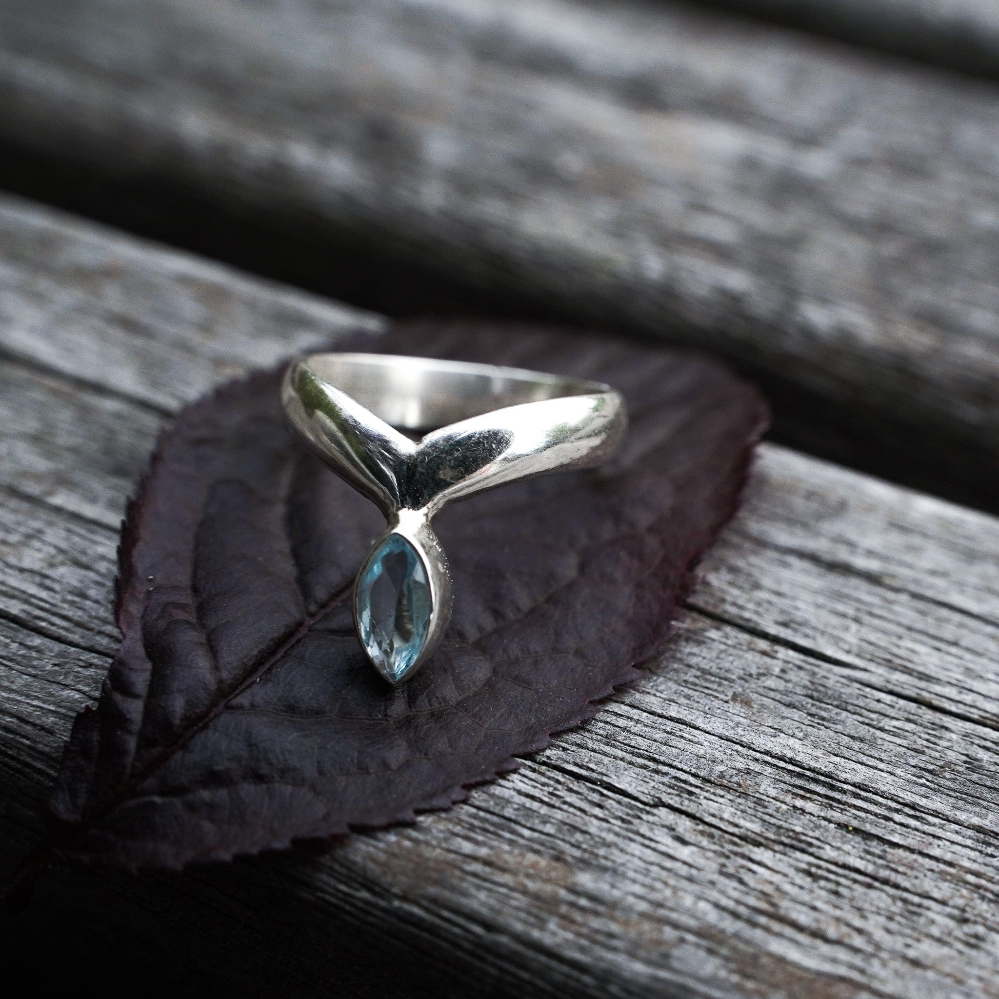 Rings Frozen Light Ring