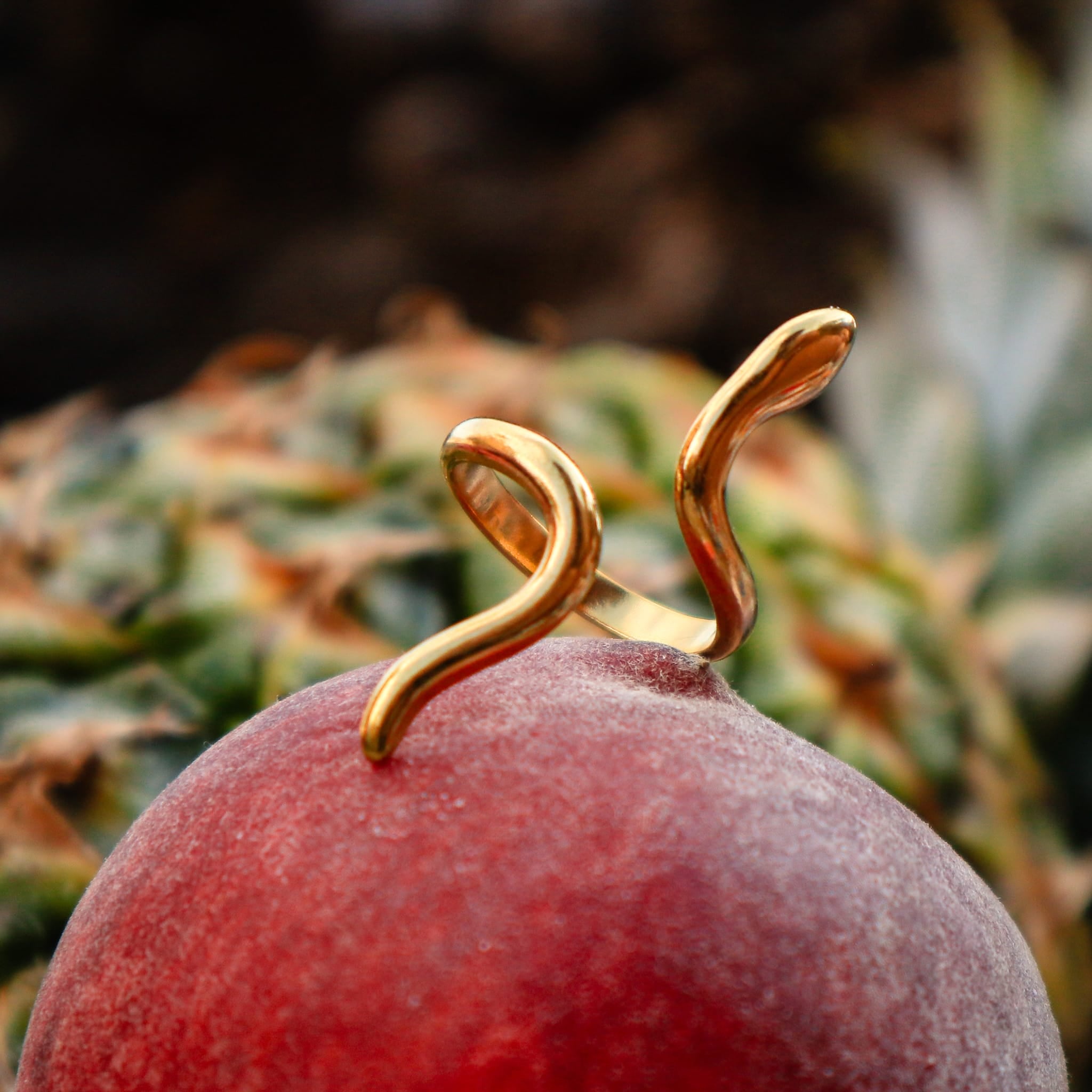 Rings Poison Ring