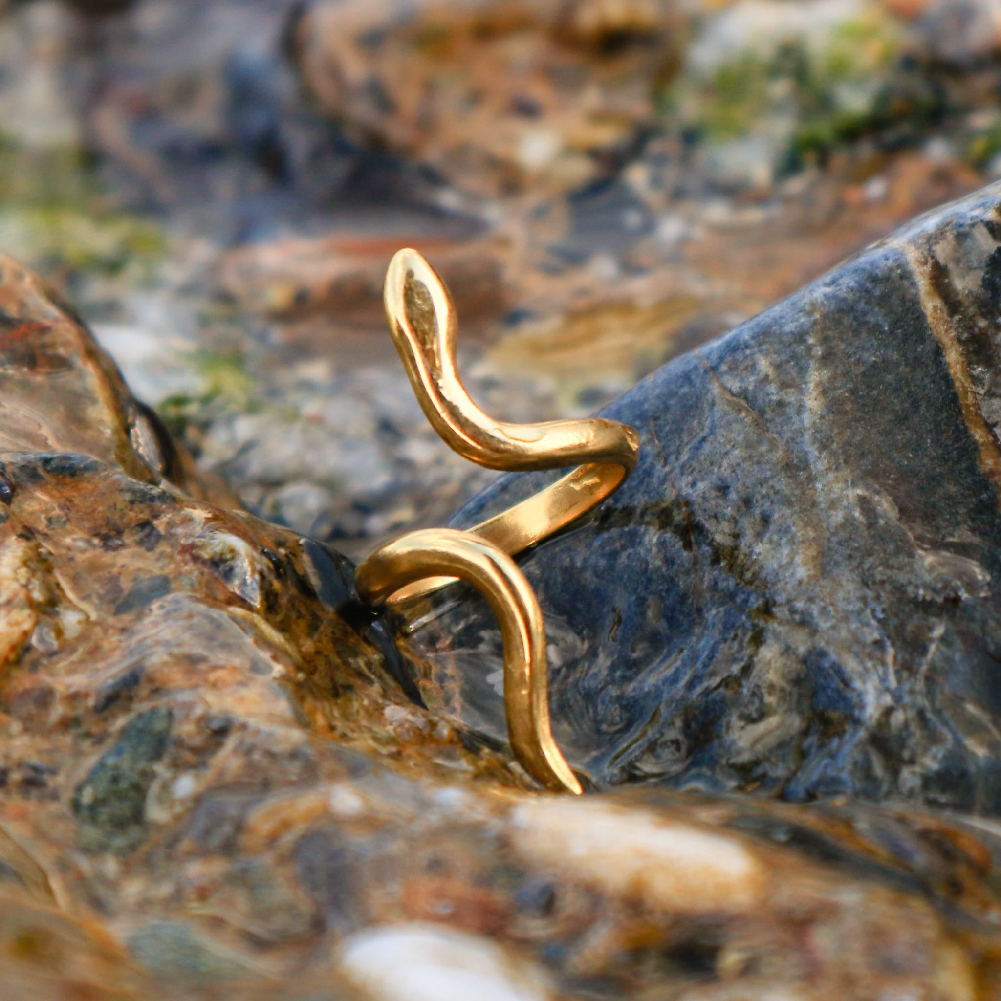 Rings Poison Ring