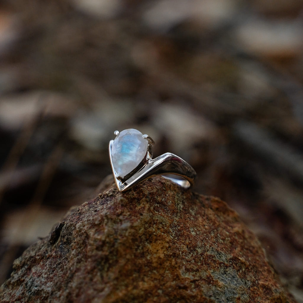 Rings Seaform Ring