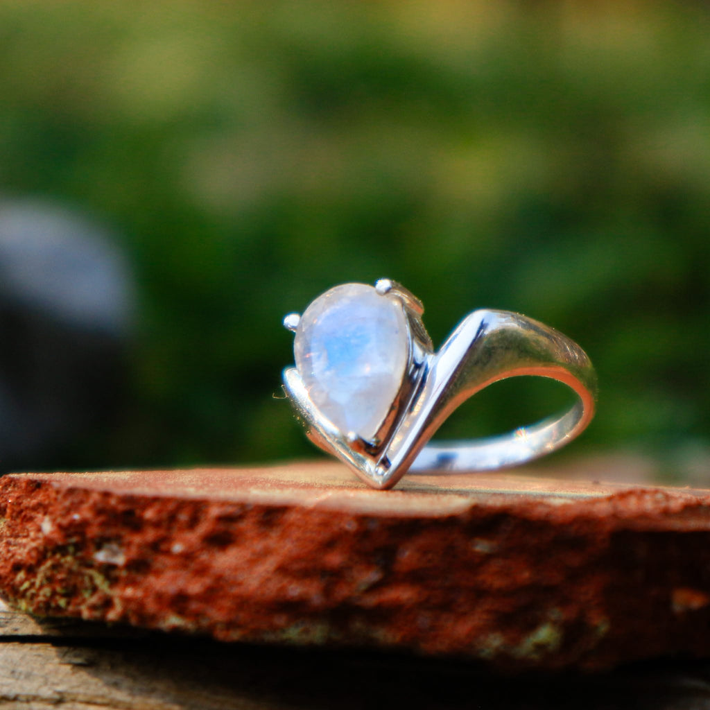 Rings Seaform Ring