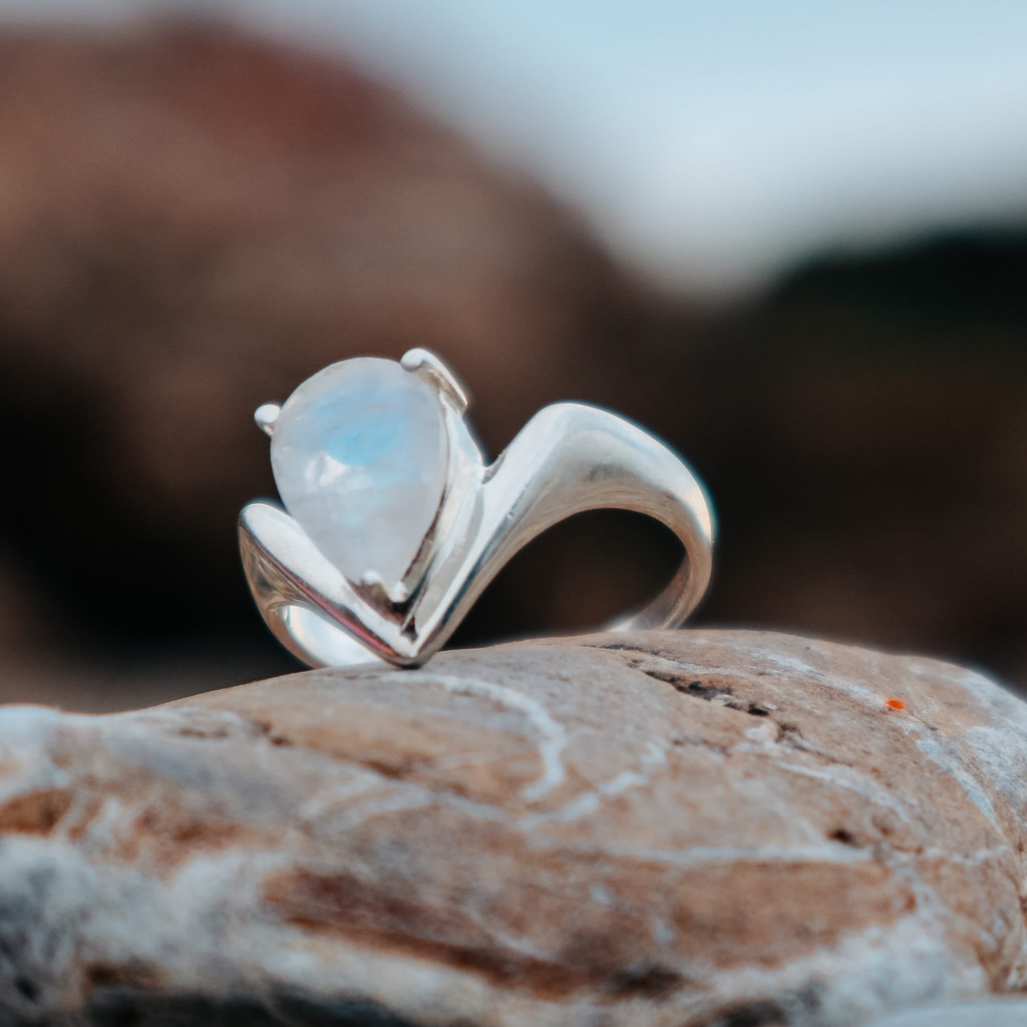 Rings Seaform Ring
