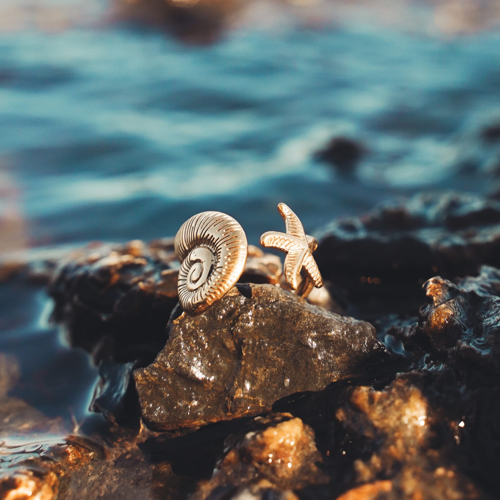 Rings Seas The Day Ring