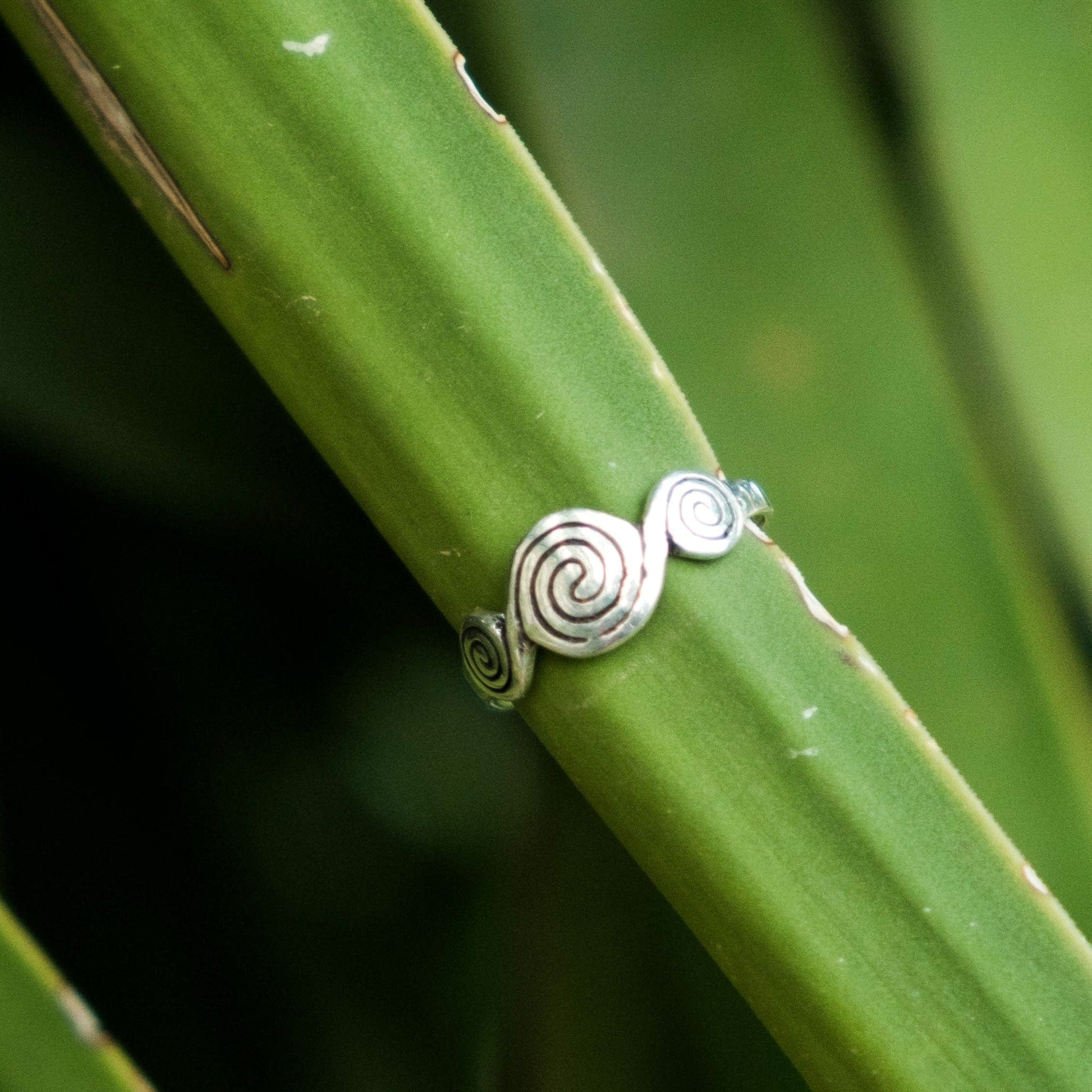 Rings Silver Scroll Ring