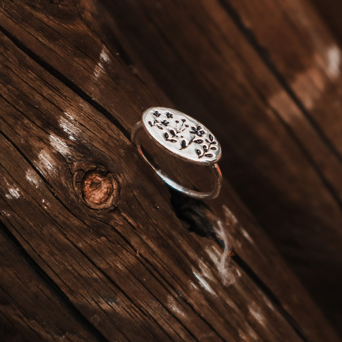 Rings Sketch Ring