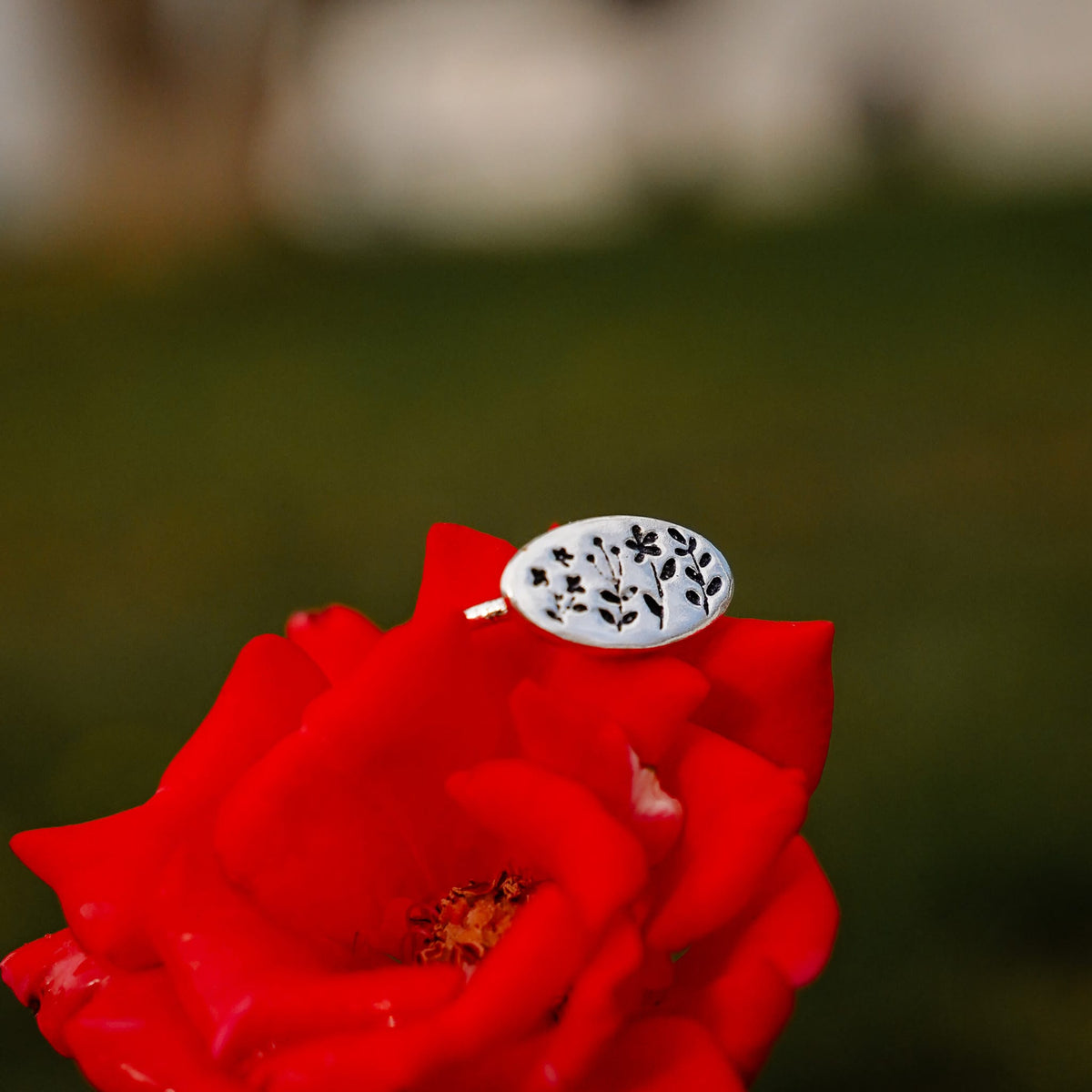 Rings Sketch Ring